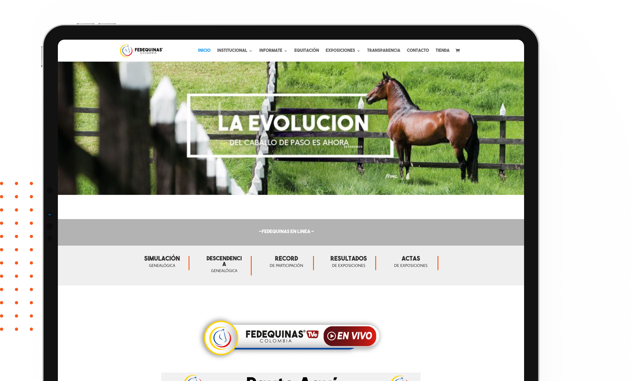 Fedequinas